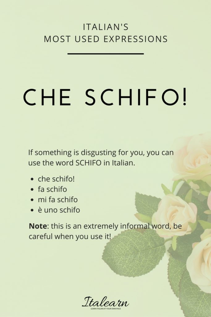 che schifo-infographics-italearn.com