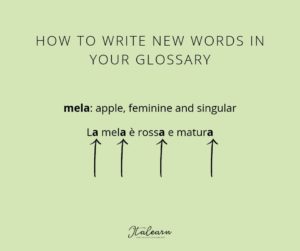 HOW TO WRITE NEW WORDS IN YOUR GLOSSARY - italearn.com
