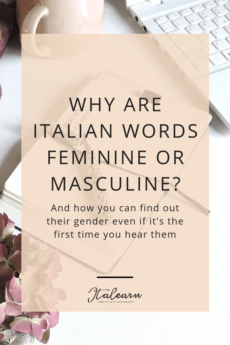 Pointer Motivering hans Why are Italian words feminine or masculine? - ITALEARN