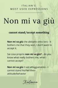 Italian's most used expressions_ non mi va giù - italearn.com