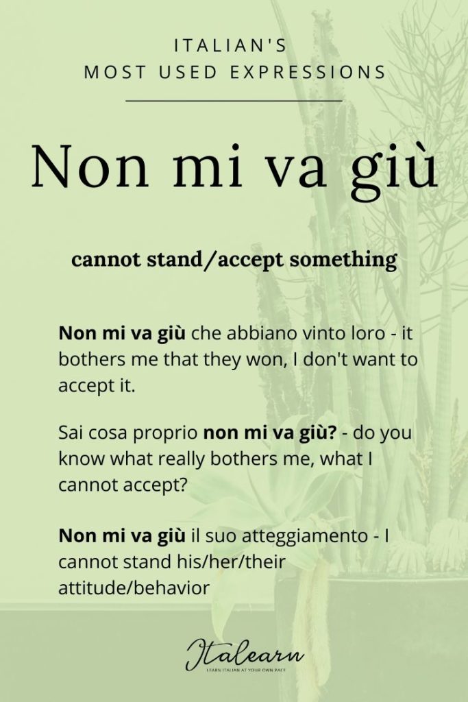 Italian's most used expressions_ non mi va giù - italearn.com